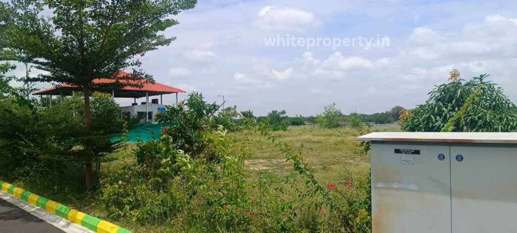 whiteproperty-manorabad-nagapurhighway